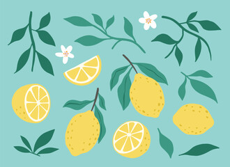 Fresh juicy lemon fruit leaves flowers isolated on a green background. Colorful half and whole lemon with a leaf. Perfect for juice or jam. Vector illustration.	