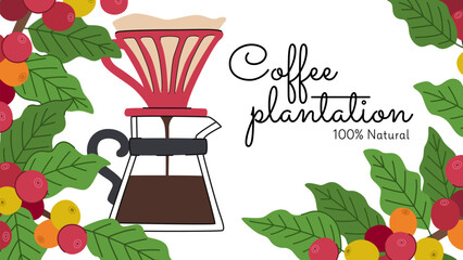 Coffee dripper on the background of coffee branches with berries and leaves. Background for advertising design, coffee shop menu or invitation, place for text. Inscription coffee plantation.