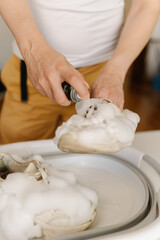Close-up vertical cropped shot of housewife washing dirty white sneakers with cleaning foam and brush in basin, applying detergent on footwear, doing housework and chores, close-up.