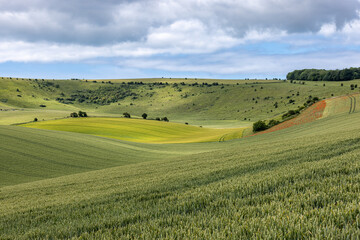 Farmland in the South Downs, on a sunny summer's day