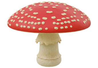 Isolated Toadstool Mushroom with Red Cap and White Spots