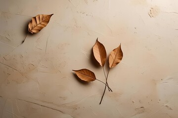 Dried autumn leaves scattered on a beige textured background, soft natural lighting, minimal composition, warm earthy tones, paper or linen texture, rustic and organic aesthetic, moody flat lay style.