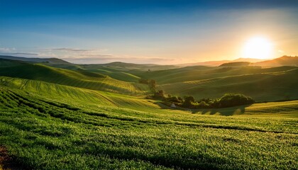 Fototapeta premium sunrise over rolling hills and fields lush green crops in rows