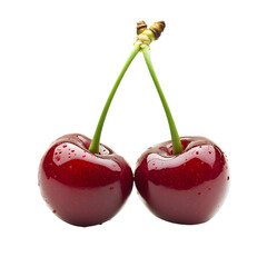 Pair of Fresh Red Cherries with Glossy Surface and Water Droplets Touching Stems for Natural Food Design and Summer Concepts