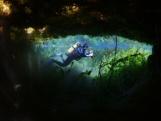 scuba diver underwater  in freshwater plants and vegetation exploring river and lake