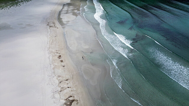 Surfer Walking Into Crystal-Clear Waves, Hoddevik