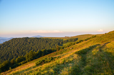 Tranquil mountain landscape at sunrise featuring lush green slopes and calm surroundings, evoking a serene and refreshing feeling of nature. Carpathian Mountains, Ukraine