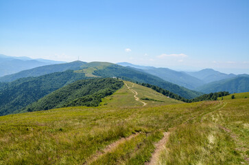 Serene view of green hills with a winding path, surrounded by lush vegetation and distant mountain...