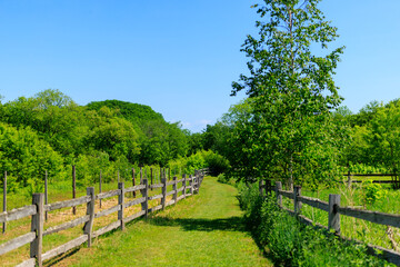 牧場の風景