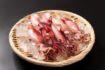 釜揚げ　ヤリイカ
