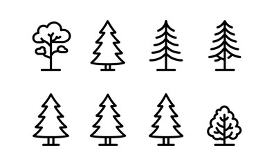 Fototapeta premium Illustrated guide to pine tree types: scots, white, lodgepole, jack, red, sugar, ponderosa, mugo