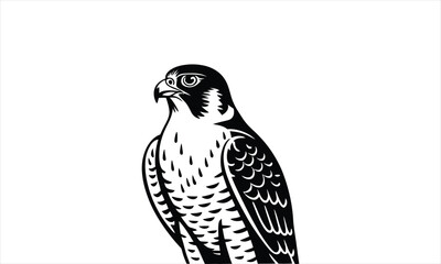 Majestic peregrine falcon bird of prey vector illustration