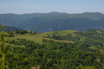 Obraz premium mountain landscape with trees