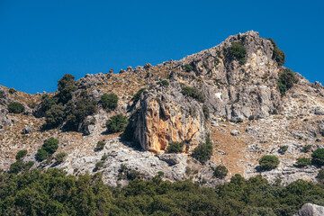 Panoramic view of the beautiful Natural Park of Grazalema at sunset. Cadiz, Andalucia, Spain.