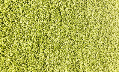 green texture background soft carpet for interior 