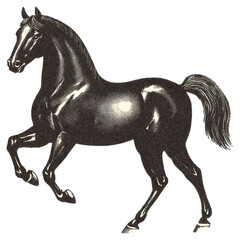 Fototapeta premium PNG Horse illustration animal black.