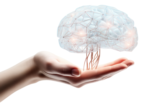 PNG Digital outline brain hand holding finger.
