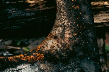 Photo of metal texture pattern