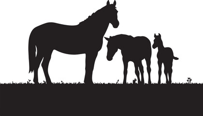 Obraz premium silhouette of a horse