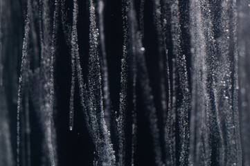 Icicles forming in winter conditions create a stunning natural display of frozen beauty