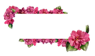 Elegant floral border frame with hand-painted pink violet flowers and green leaves on a white background. Suitable for wedding invitations, cards, print templates and romantic packaging.