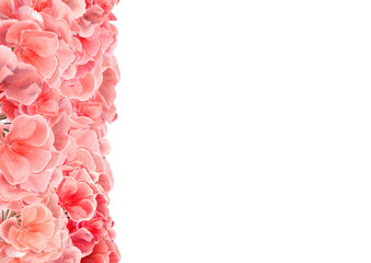 Vertical floral border on the left with hand-painted pink geraniums. White space on the right for text. Great for scrapbooking, packaging, wallpaper, and decoupage projects.