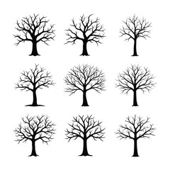 silhouette of a bare tree bundle
