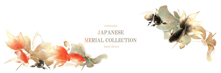 金魚, 水彩, 和風, 日本画, 暑中お見舞い, 夏, ベクター, 背景, フレーム, 夏祭り, 蓮, 水連, 花, 金箔, 植物, 緑, 葉, 朱色, 墨, イラスト