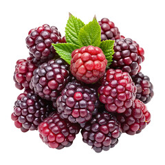 Heap of vibrant and juicy blackberries on a white background with leaves