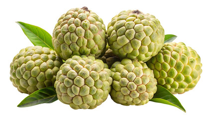 Fototapeta premium Pile of Fresh Custard Apples with Green Leaves on a White Background