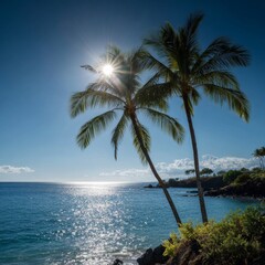 Coastal palm trees gracefully swaying in the gentle breeze, kissed by the warm embrace of the sun. Turquoise waters meet the rocky shore, creating a scenic paradise