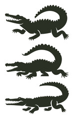 Three Alligator Silhouettes Showing Different Actions in Black on Transparent