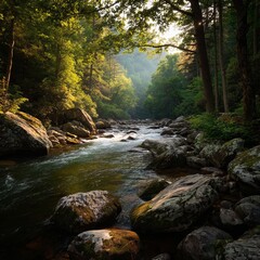 Obraz premium A serene river flowing through a lush, green forest, illuminated by dappled sunlight. The scene evokes tranquility and the beauty of nature