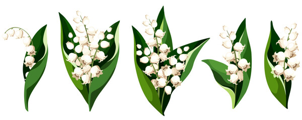 Lily of the valley flowers isolated on a white background. Set of vector illustrations