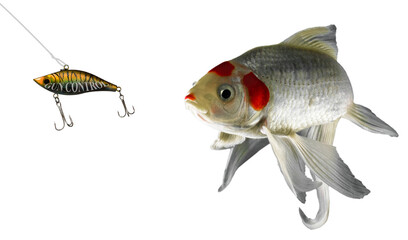 The artificial lure of gun control