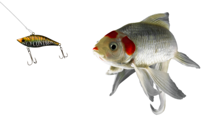 The artificial lure of gun control