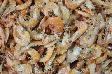 close_small_freshly_caught_shrimps_pattern