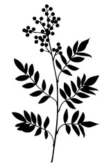 PNG Elegant botanical silhouette design, transparent background