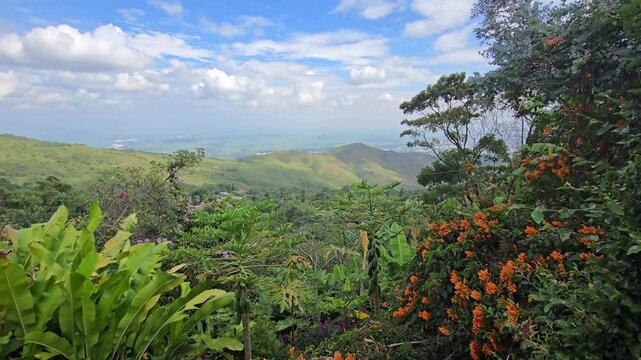 Breathtaking view of Valle del Cauca, Colombia, from a farm in Dapa, showcasing colorful flowers, lush vegetation, expansive plains, and surrounding mountains under a peaceful and natural landscape