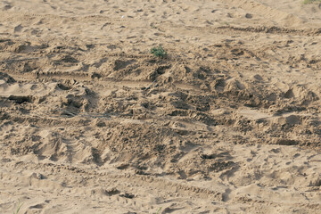 Photo shows dry sand marked by deep motorcycle tire tracks and scattered human footprints in various directions.