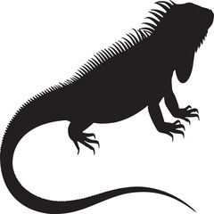 Silhouette of a large iguana with a spiky back standing on a white isolated background surface