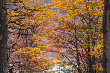 Autumn season