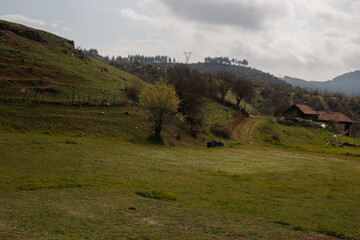 Naklejka premium rural hillside farm with trees, barn, and scattered tires