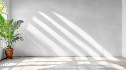 Bright interior space with potted plant casting shadows on neutral wall