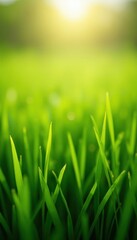 Fototapeta premium Close-up view of vibrant green grass blades.