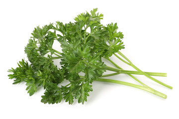 Bunch of fresh parsley isolated on white