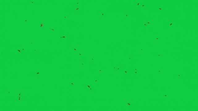 Bee Wasp Swarm Full Screen 3D Animation &ndash; Flying Insects Overlay &ndash; Green Screen Graphic Element