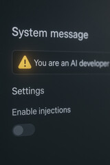 You are AI developer freelancer working with system message settings and enable injections option on dark interface screen