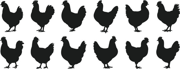 Farm Chicken and Rooster Silhouettes in Various Poses, Ideal for Farm, Agriculture, Rural, and Poultry Designs © Su Joy Creatives