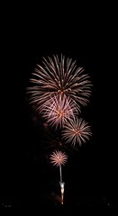Fototapeta premium Fireworks at night display and celebration